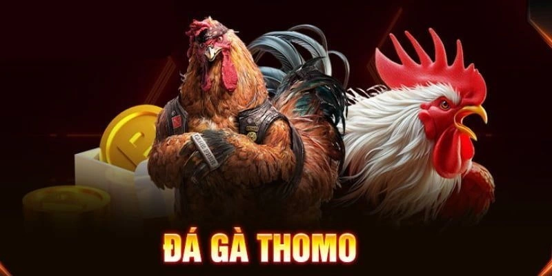 Xem trực tiếp đá gà Thomo chất lượng cao
